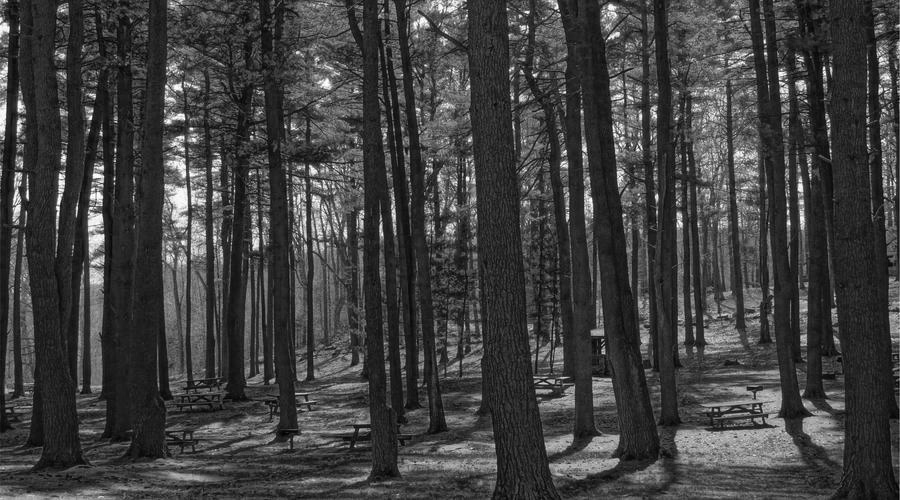 Jak vybrat správný produkt: průvodce, který vám ušetří čas i peníze