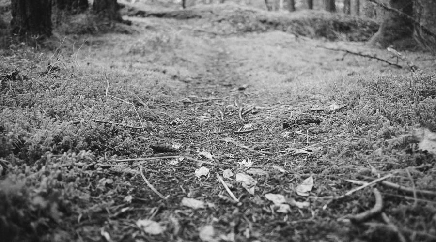 Recenze, hodnocení a zkušenosti: jak je správně číst